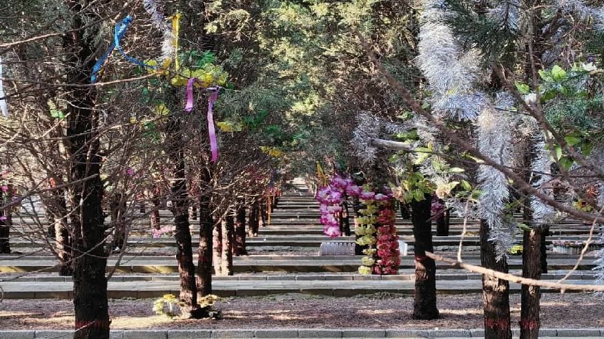 8db7eaadd3813be4bce0072743f4a0ef.jpg 8db7eaadd3813be4bce0072743f4a0ef.jpg