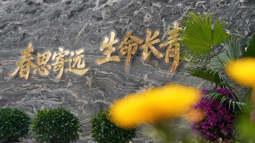 cd7f78251762271f7d6cfb01ccc168d9.jpg cd7f78251762271f7d6cfb01ccc168d9.jpg