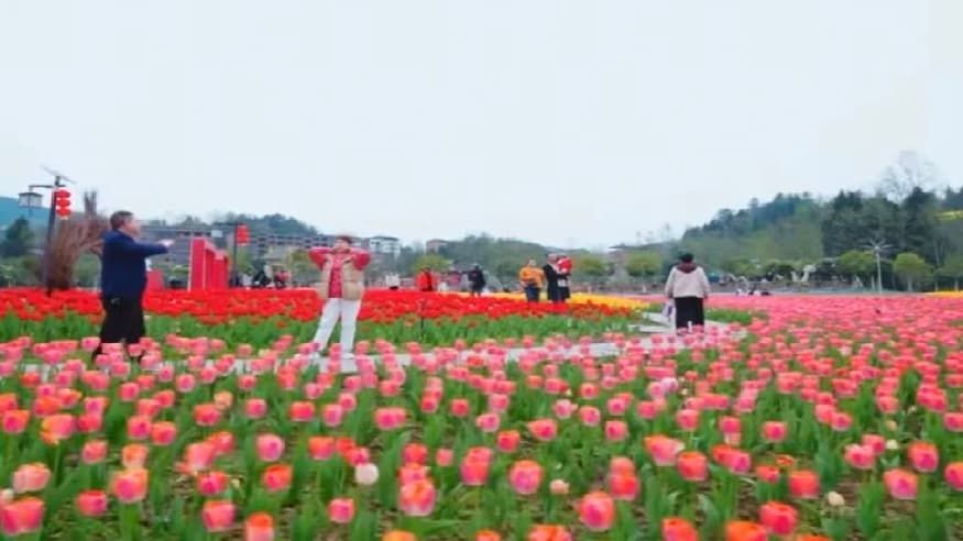 00a0865363c583a3cfe22126ca45cf9f.jpg 00a0865363c583a3cfe22126ca45cf9f.jpg