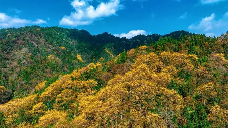 302850b5ecc73472c64d905c3bcea1c0.jpg 302850b5ecc73472c64d905c3bcea1c0.jpg