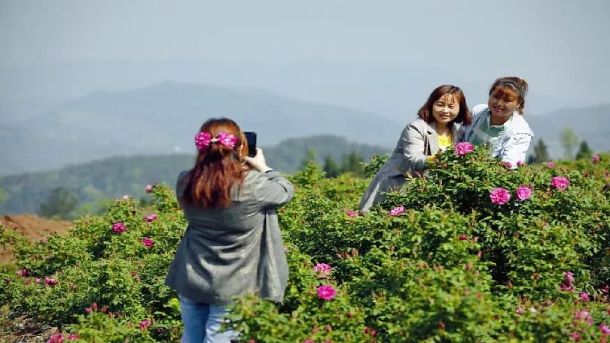 cedddd81c6a8f508134b005a6c503364.jpg cedddd81c6a8f508134b005a6c503364.jpg