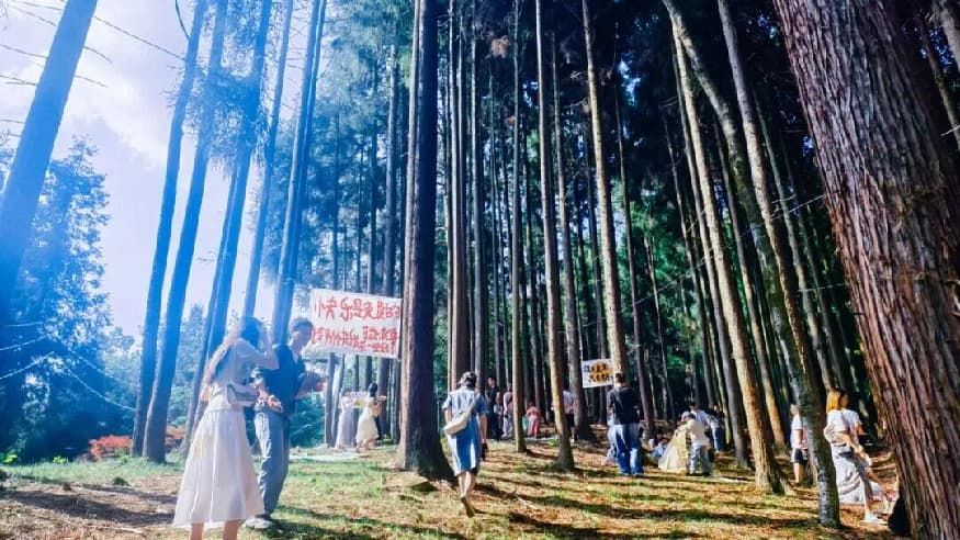 865fba2294a3c0c1cf5c26f3f0ae4c03.jpg 865fba2294a3c0c1cf5c26f3f0ae4c03.jpg