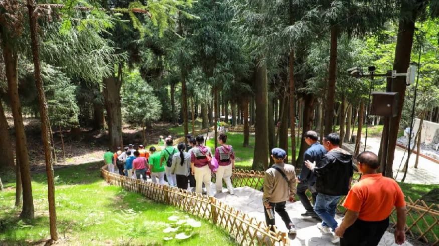 c70c65739369e31a05286fcb2fea5985.jpg c70c65739369e31a05286fcb2fea5985.jpg